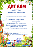 Победитель Международной викторины "Волшебный мир мультфильмов"